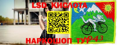 прущие грибы Вышний Волочёк