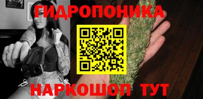 прущие грибы Вышний Волочёк